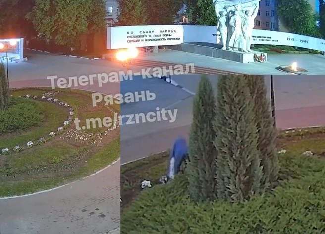 Женщина сорвала цветы с клумбы на площади Победы | ya62.ru