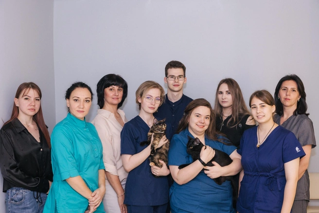 В ветклинике современное оборудование, которое помогает в диагностике | Источник: Инна Кузнецова