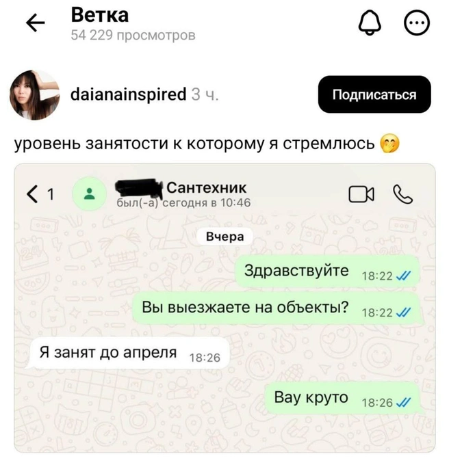 Работы у сантехников как никогда много | Источник: Dianainspired / Социальная сеть X