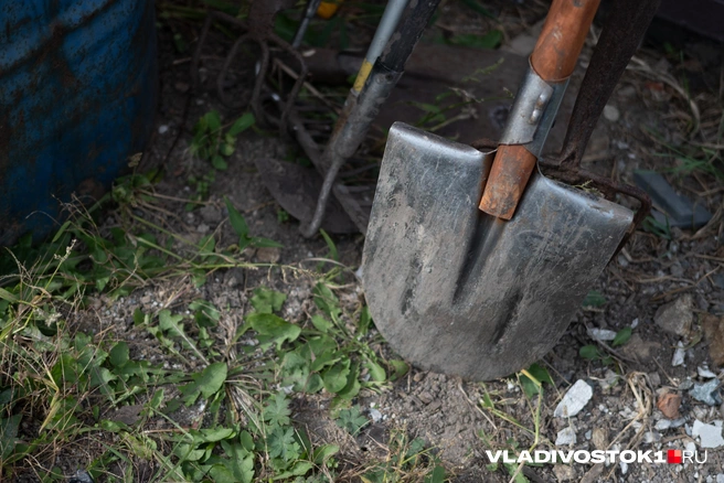 Увеличение земельного налога | Источник: Елена Буйвол / VLADIVOSTOK1.RU