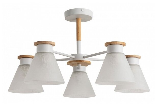 Люстра Arte Lamp Tyler A1031PL, E14