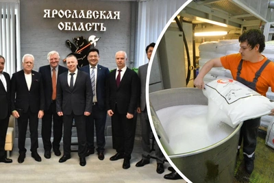 Завод полипропилена в Рыбинске привлечет 28 млрд рублей