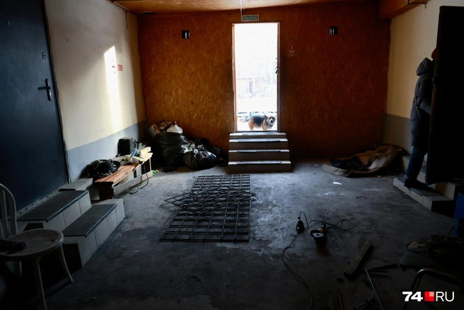 Рассмотреть условия жизни в рехабе нам не удается | Источник: Михаил Шилкин