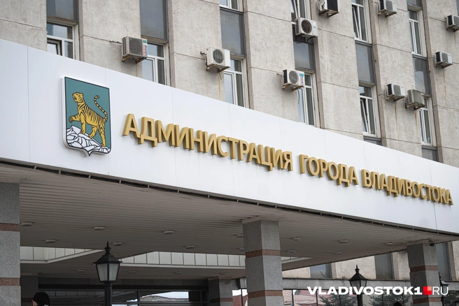 Особое внимание аудиторов привлекла ситуация с баннерами | Источник: Елена Буйвол / VLADIVOSTOK1.RU