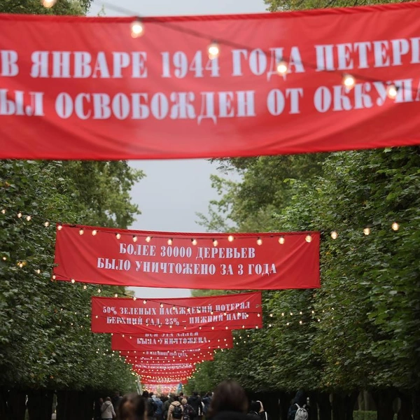 Источник: Дарья Драй / «Фонтанка.ру»