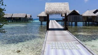 Тренд месяца: яркие краски