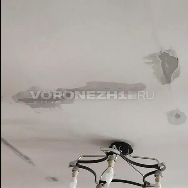 Источник: Татьяна Тельпис / Voronezh1.ru