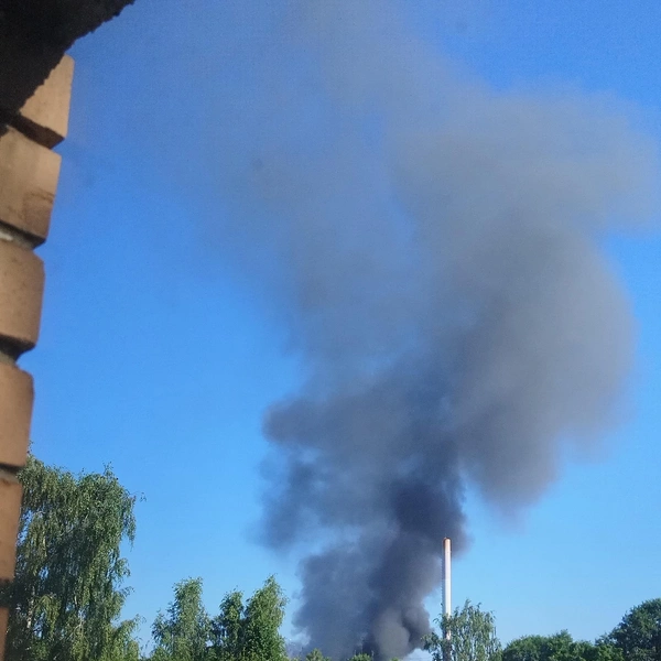 Источник: группа Вконтакте «БОЛЬШАЯ ИЖОРА СОСНОВЫЙ БОР — СПБ Санкт-Петербург»