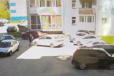 Водитель наехал на собаку в поселке и скрылся