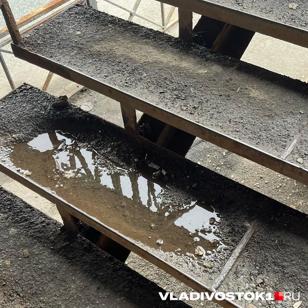Источник: Елена Буйвол / VLADIVOSTOK1.RU