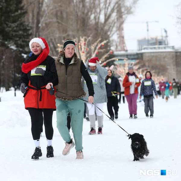 Какой милый бегун! | Источник: Александр Ощепков / NGS.RU