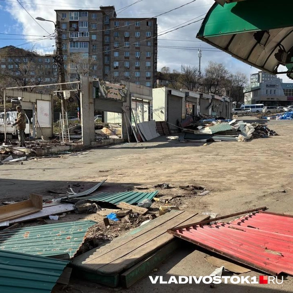 Источник: Елена Буйвол / VLADIVOSTOK1.RU