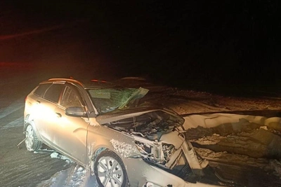 ДТП из-за косули в Зауралье: пять пострадавших, двое детей