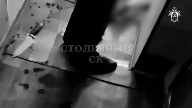 Утром в Южном Бутово младшая дочь зарезала своего отца | Источник: Столичный СК / T.me
