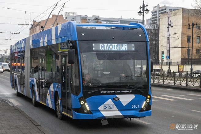 Сочлененный троллейбус («гармошка») на Московском проспекте в Санкт-Петербурге | Источник: Михаил Огнев / FONTANKA.RU