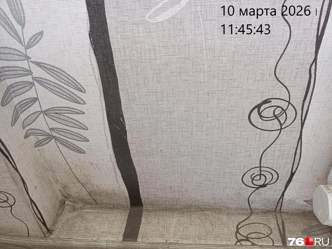 В доме появилась плесень | Источник: читательница 76.RU Татьяна