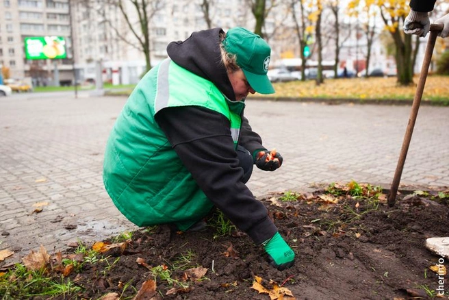 Источник: st.cherinfo.ru