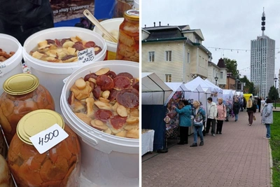 Сушеные грибы в Архангельске продают по 10 тысяч за килограмм