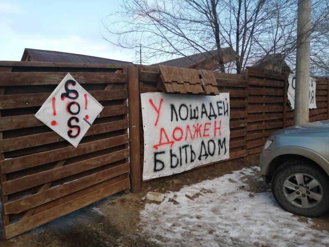 Если это строили бандиты, то пусть бандитов будет больше»: в Волгограде  сносят конюшни «Соснового бора» - 27 января 2020 - V1.ру