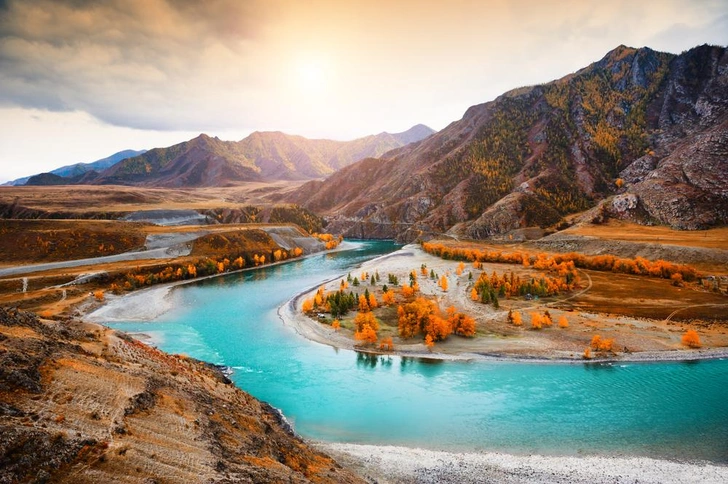 Источник: Olga Gavrilova/Shutterstock/Fotodom.ru