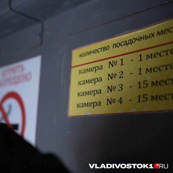 Источник: Елена Буйвол / VLADIVOSTOK1.RU