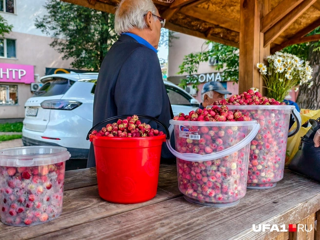 Представьте, как это все собиралось… | Источник: Булат Салихов / UFA1.RU