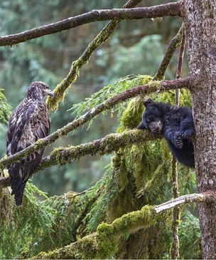 12 самых смешных фото за всю историю конкурса Wildlife Photographer of the Year