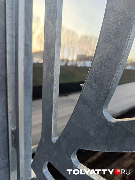 Некоторые, впрочем, еще мягкие&nbsp;— мы их потрогали и убрали | Источник: Юлия Дроглева