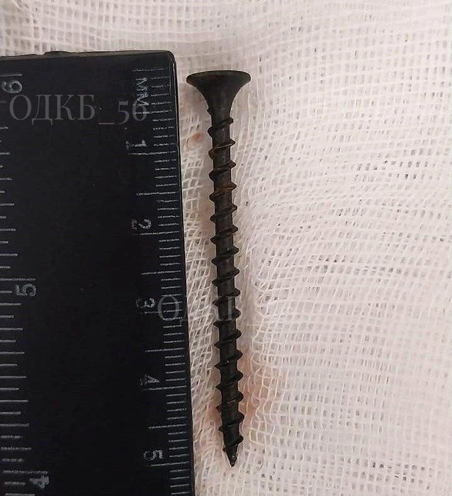 Источник: ОДКБ 56 (Юлия Шарифуллина) / t.me