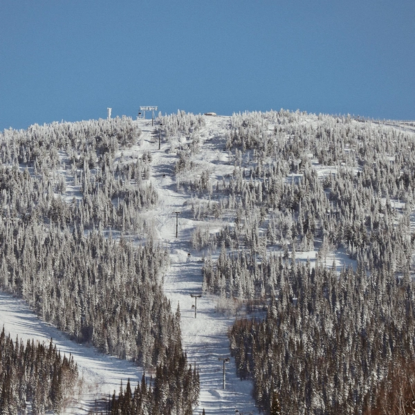 Источник: ООО «ИНФИНИТИ КАПИТАЛ»