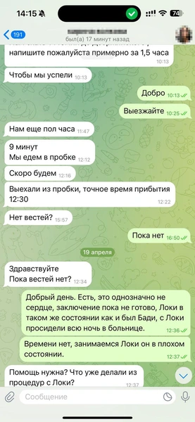 В день, когда все случилось, Родион был на нервах. Это видно по переписке | Источник: Родион Проводин