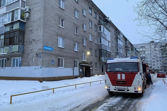 Источник: st.cherinfo.ru