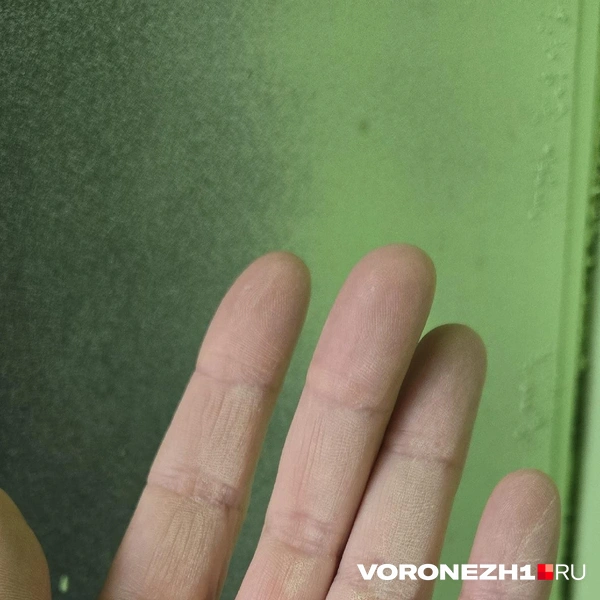 Источник: Читатель Voronezh1.ru