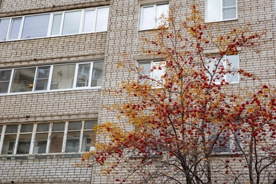 В Переславле нашли тело мужчины и снимут программу