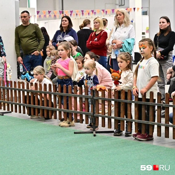 Источник: Василина Любимова / 59.RU 