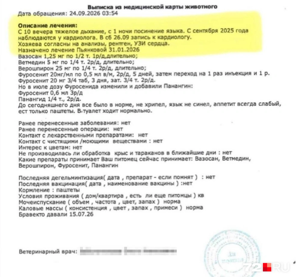 В выписке из медкарты указано, когда собаке стало плохо и что хозяева выразили согласие на УЗИ и рентген | Источник: предоставлено ветклиникой «Клевер»