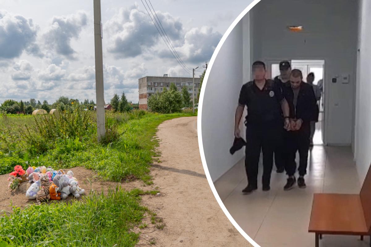 Погибла 5-месячная девочка: в Ярославской области вынесли приговор мопедисту, сбившему коляску 