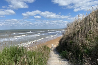 Найдены самые соленые районы Азовского моря