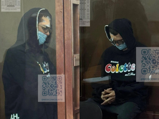 ТАСС: блогер Никита Ефремов* частично признал вину по делу о финансировании экстремизма | Источник: Суды общей юрисдикции города Москвы