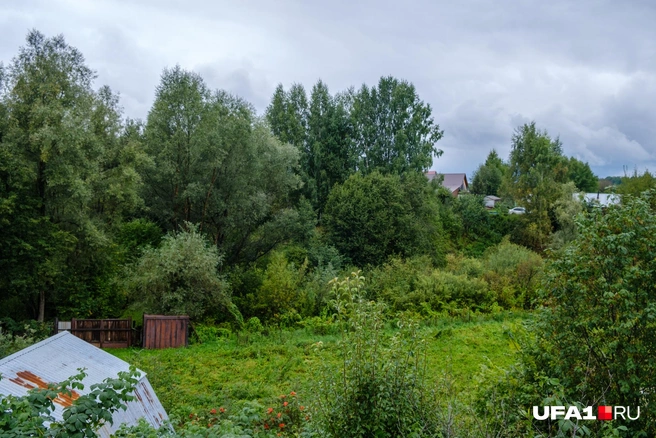Один из немногих зелёных уголков Уфы | Источник: Булат Салихов / UFA1.RU