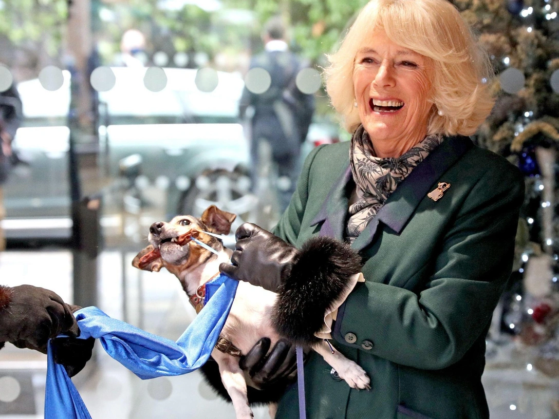 Смерть друга: король Карл III и королева Камилла объявили печальную новость | marieclaire.ru