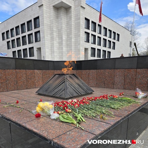 Источник: Ирина Булгакова / Voronezh1.ru