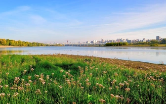 Великая река Сибири: откуда, куда и как течет Обь