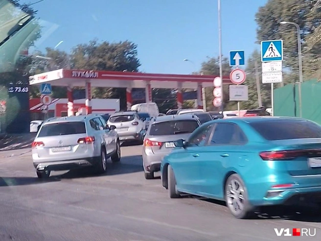 Публикуем размышления волгоградцев, которые отдали не один час своей жизни ожиданию в очереди на АЗС | Источник: читатели V1.RU