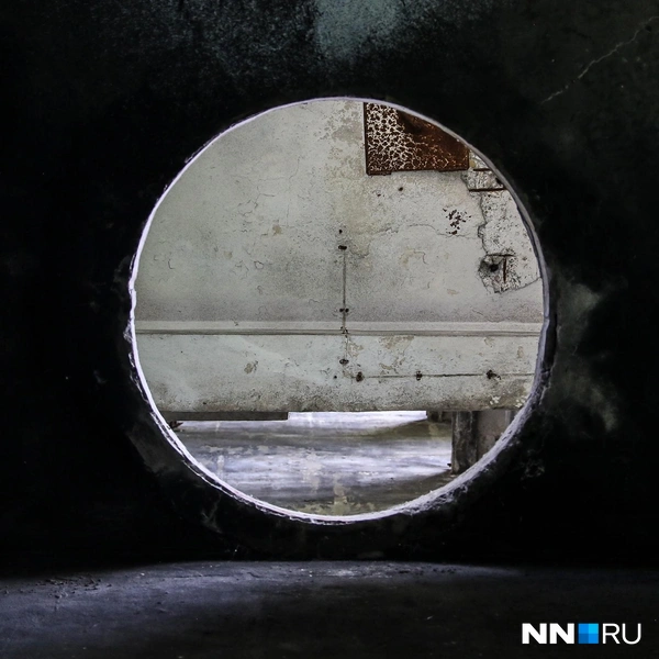 Источник: Наталья Бурухина / NN.RU