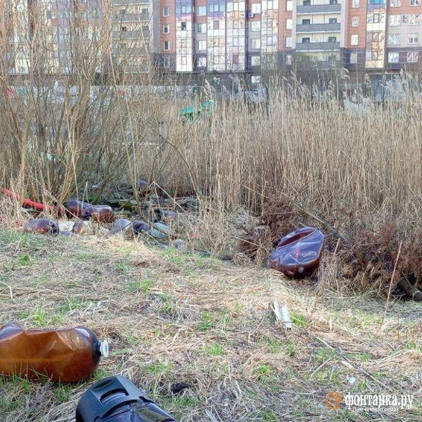 Источник: Предоставлено жильцами Новой Каменки