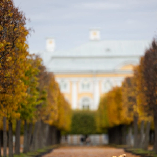 Источник: музей-заповедник «Петергоф»