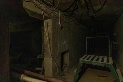 Кот пятый день заперт в котельной Ростова, сотрудники игнорируют