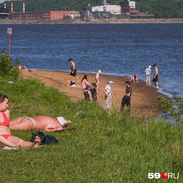 На свежей травке тоже комфортно | Источник: Тимофей Калмаков / 59.RU