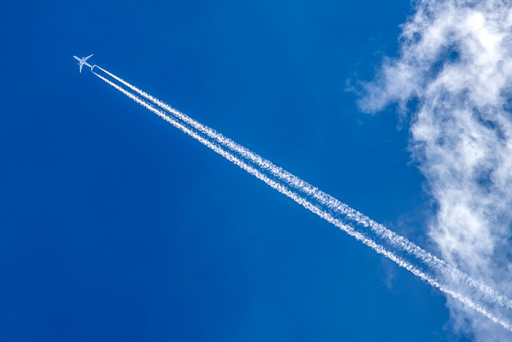 Barcroft Media / Contributor / Getty Images<b><br /></b>